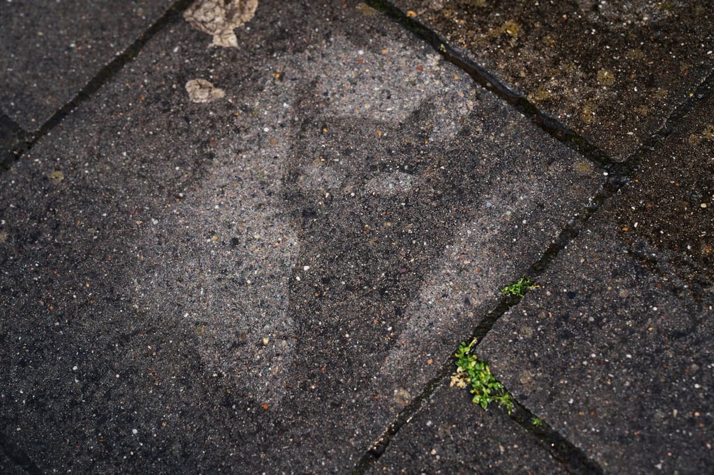 Ungewöhnliche Objekte am Wegesrand: Kinder sorgen für Streetart