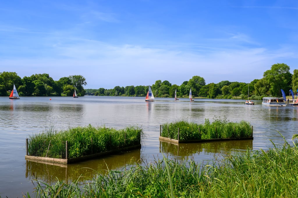 Aasee: Wassertemperaturen steigen – Stadt ergreift Gegenmaßnahmen