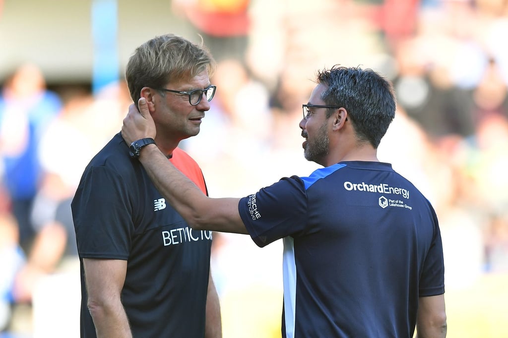Kein-Interesse-David-Wagner-will-kein-Trainer-mehr-sein