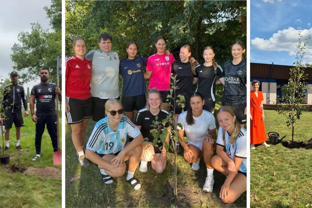 Viele-neue-B-ume-in-Gronau-dank-Social-Media-Trend-gepflanzt