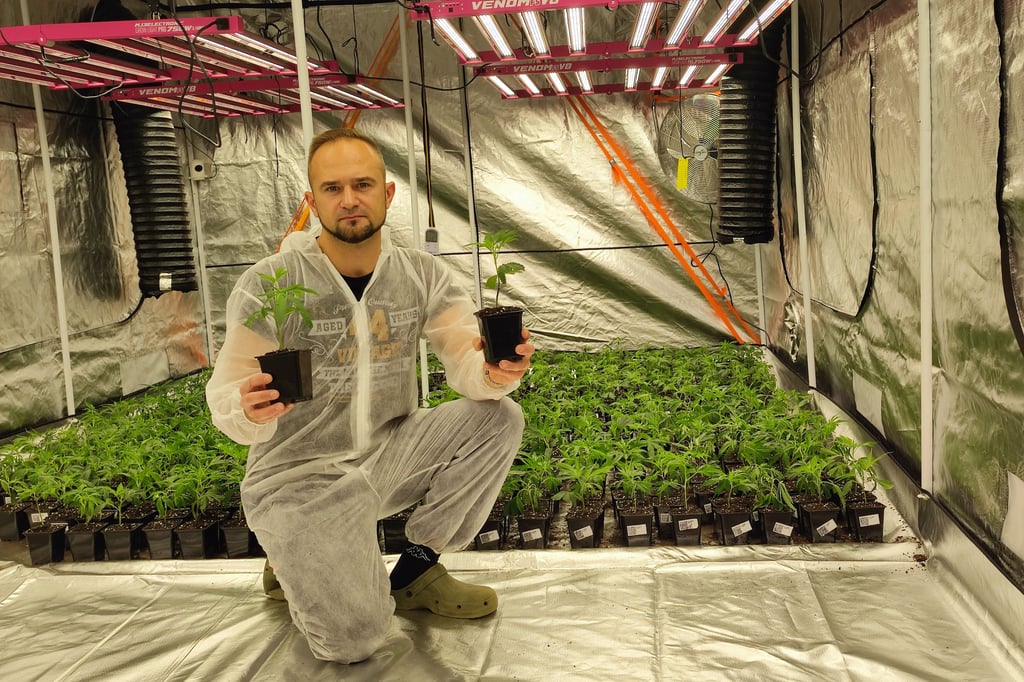 Cannabis-Club-Gronau-ist-mit-dem-Anbau-gestartet
