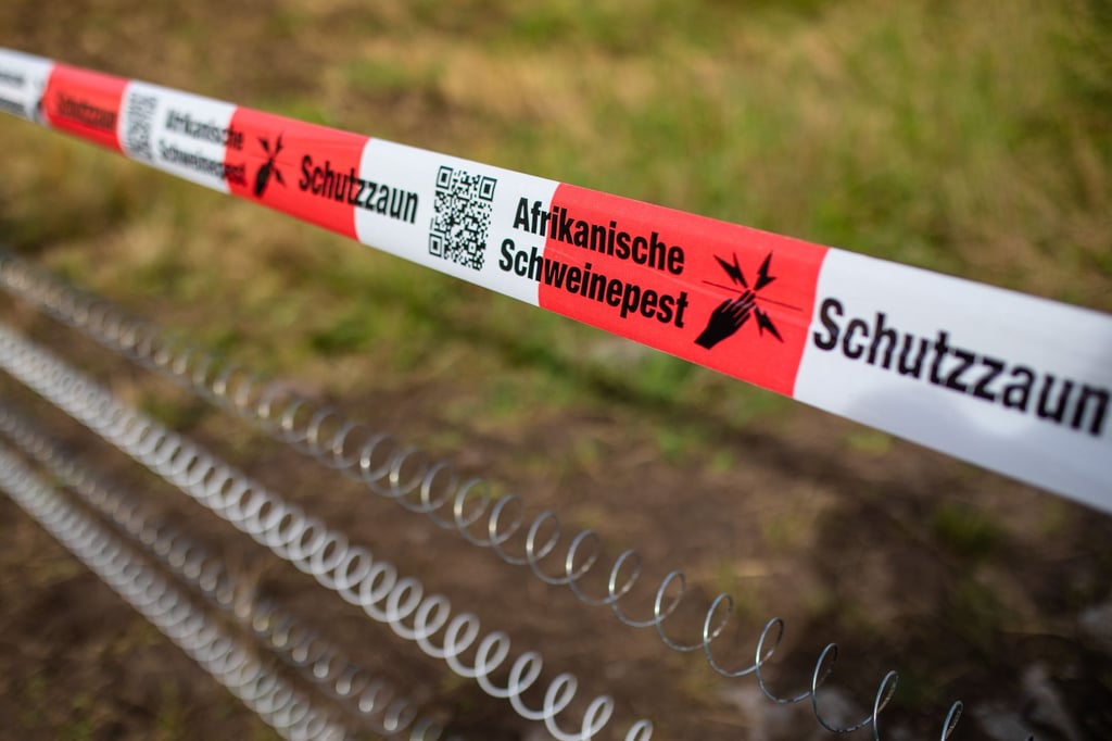 Gefahr durch Tierseuchen: Landwirte im Dauer-Alarmmodus