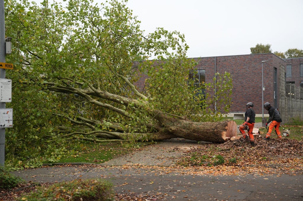 So geht es mit dem Umbau der Gesamtschule Münster-West weiter