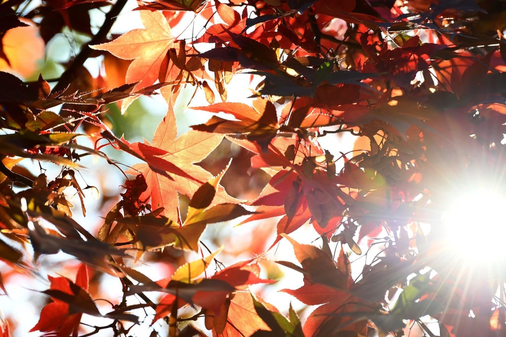 Kaum-Regen-und-bis-zu-19-Grad-in-NRW-erwartet