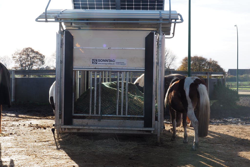 -Einzigartig-in-NRW-M-nsterischer-Pferdehof-f-ttert-solargesteuert