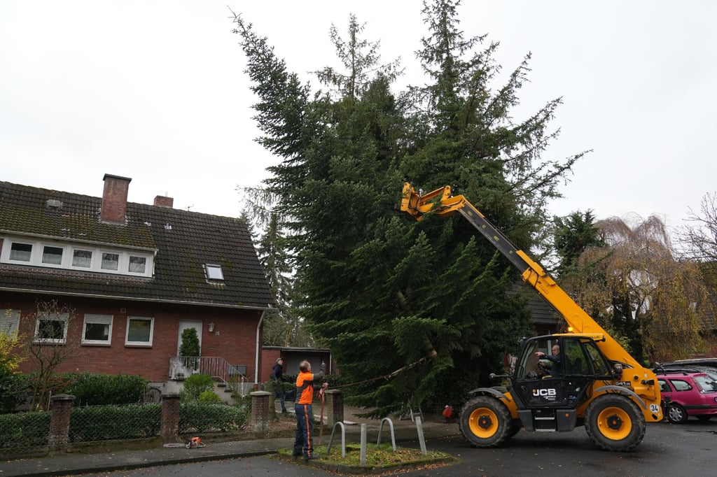 Albachtener Weihnachtsmarkt: So kommt der Tannenbaum zum Marktplatz