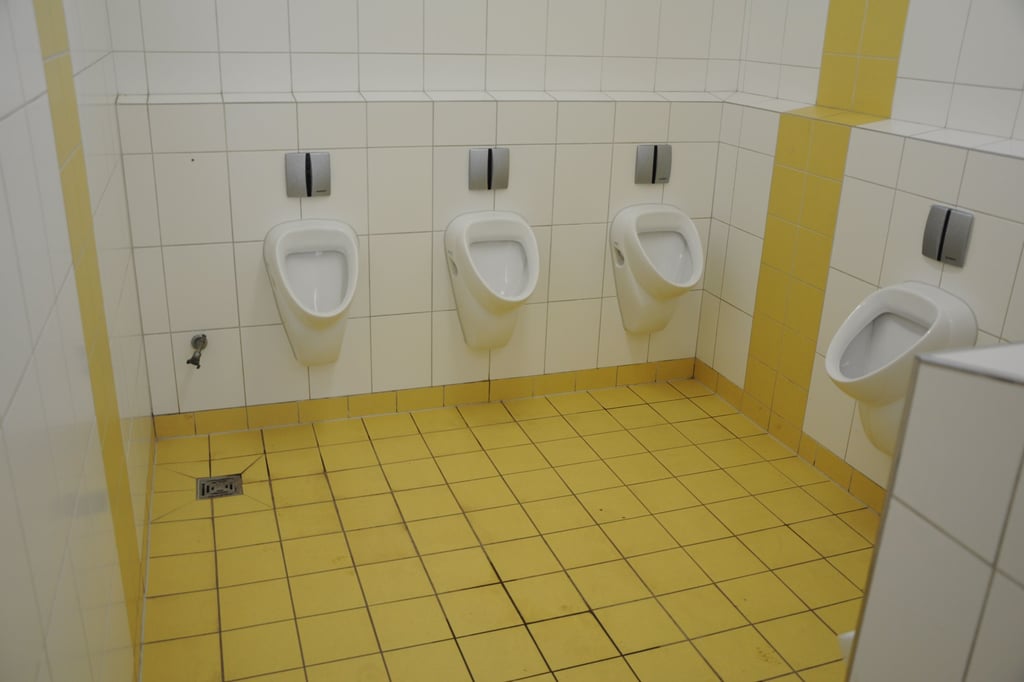 WC-Anlagen der Michaelschule: Ein mehr als übel riechendes Problem