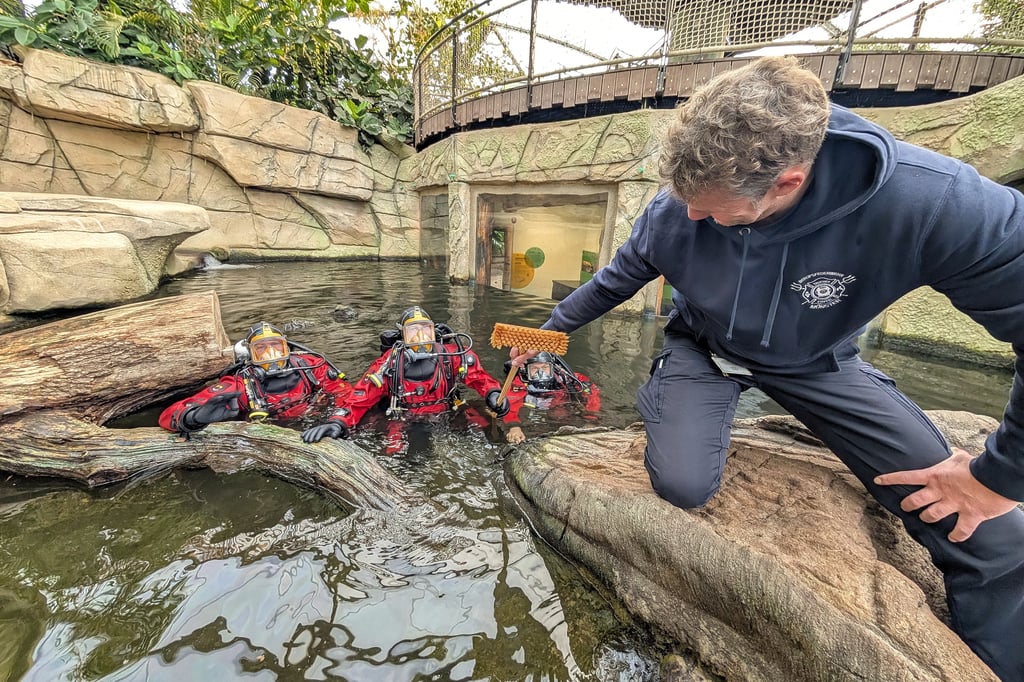 Allwetterzoo: Feuerwehr-Taucher putzen Otter-Becken
