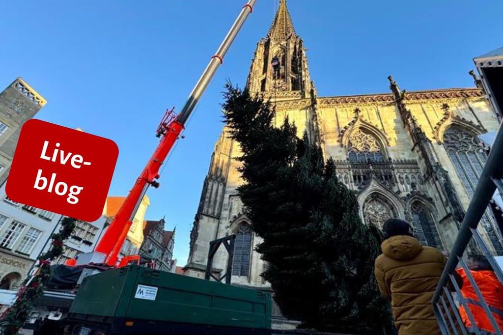 Für die Adventszeit: Weihnachtsbaum steht nun vor Lambertikirche