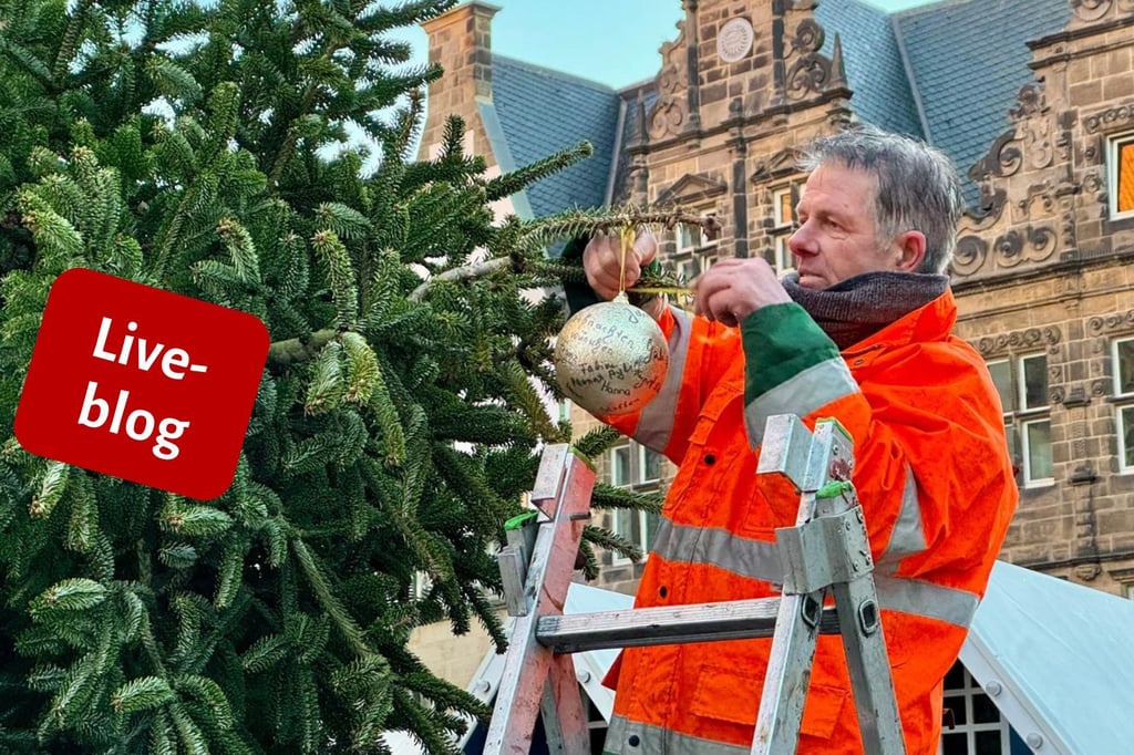 Für die Adventszeit: Weihnachtsbaum wird vor Lambertikirche aufgestellt