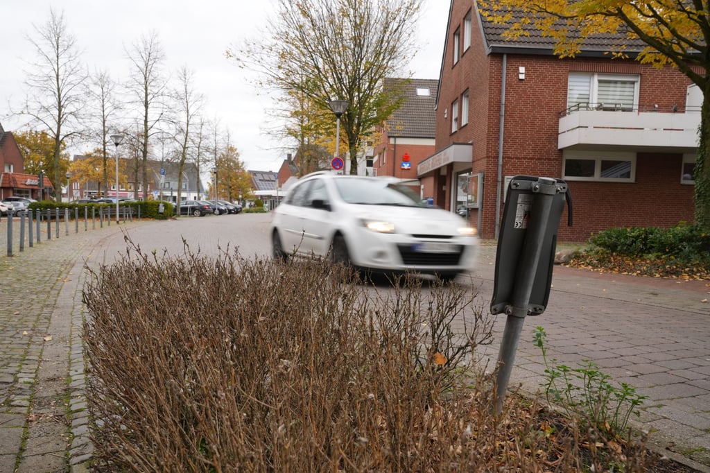 Doch nicht alle Baumscheiben sollen neu bepflanzt werden