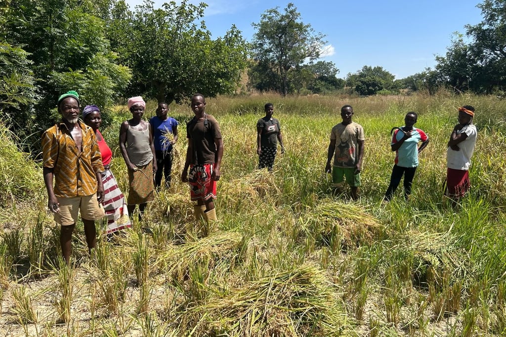 Wenig Nahrung, viel Unruhe – „Die Lage in Burkina ist sehr schwierig“