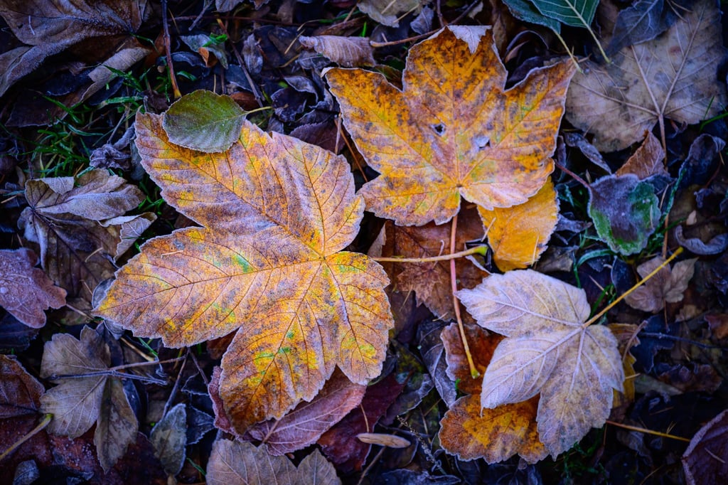K-lte-und-Gl-tte-in-NRW-erwartet