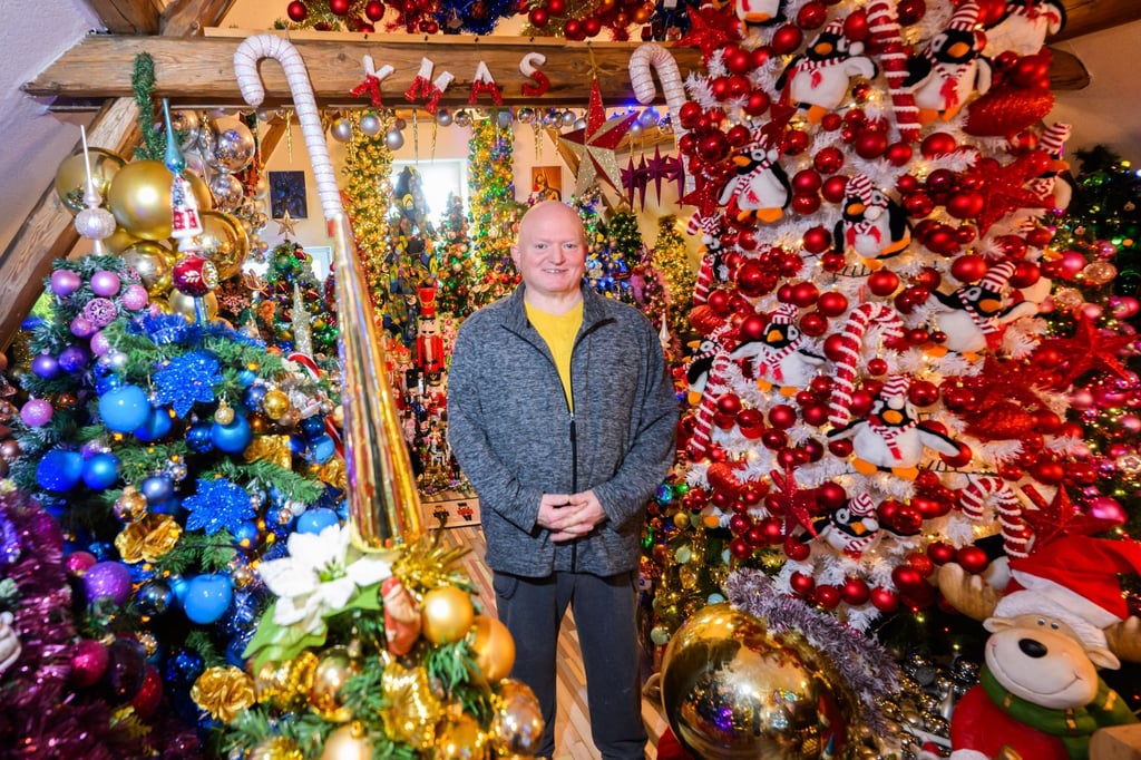 Neuer-Weltrekordversuch-621-Weihnachtsb-ume-im-Haus