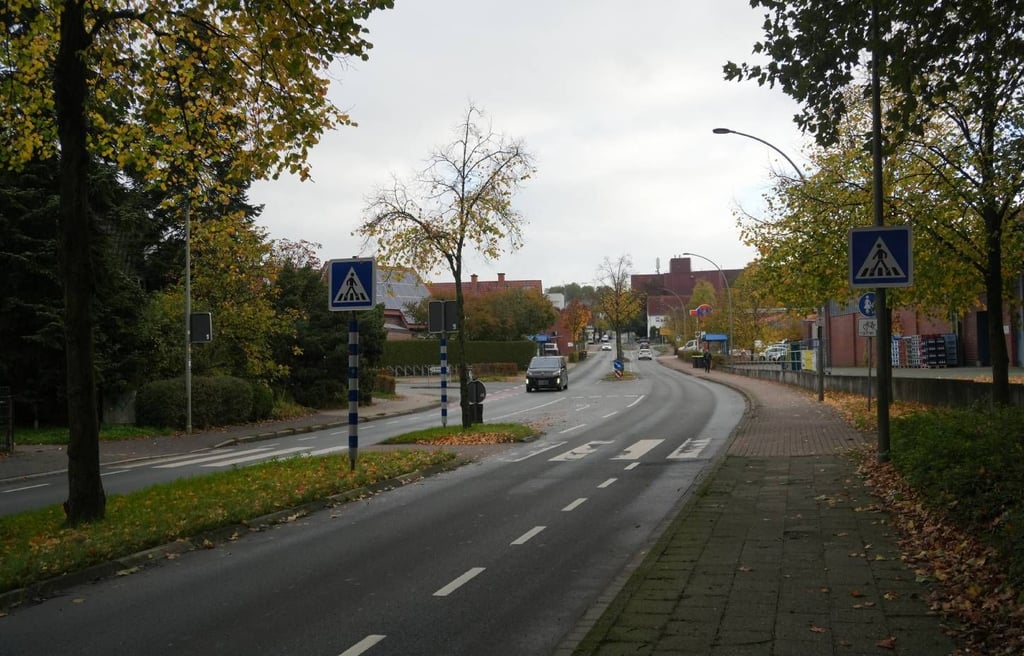 In einem gemeinsamen Antrag haben CDU, Grüne, SPD sowie die Familien-Partei die Tempo-30-Zone gefordert.