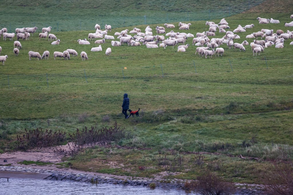 Weiter-ungew-hnlich-mildes-Wetter-in-NRW