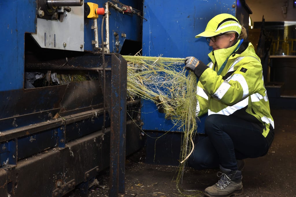 Alle Jahre wieder: Weihnachtsbaumnetze legen Sortieranlagen lahm
