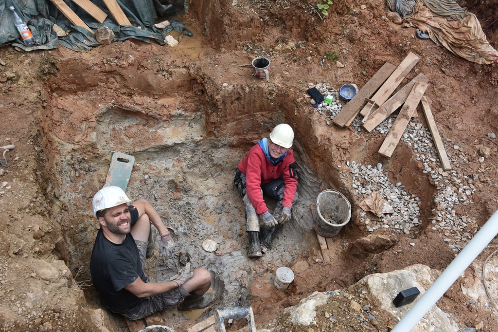 So-sah-die-Welt-der-Dinosaurier-vor-125-Millionen-Jahren-aus