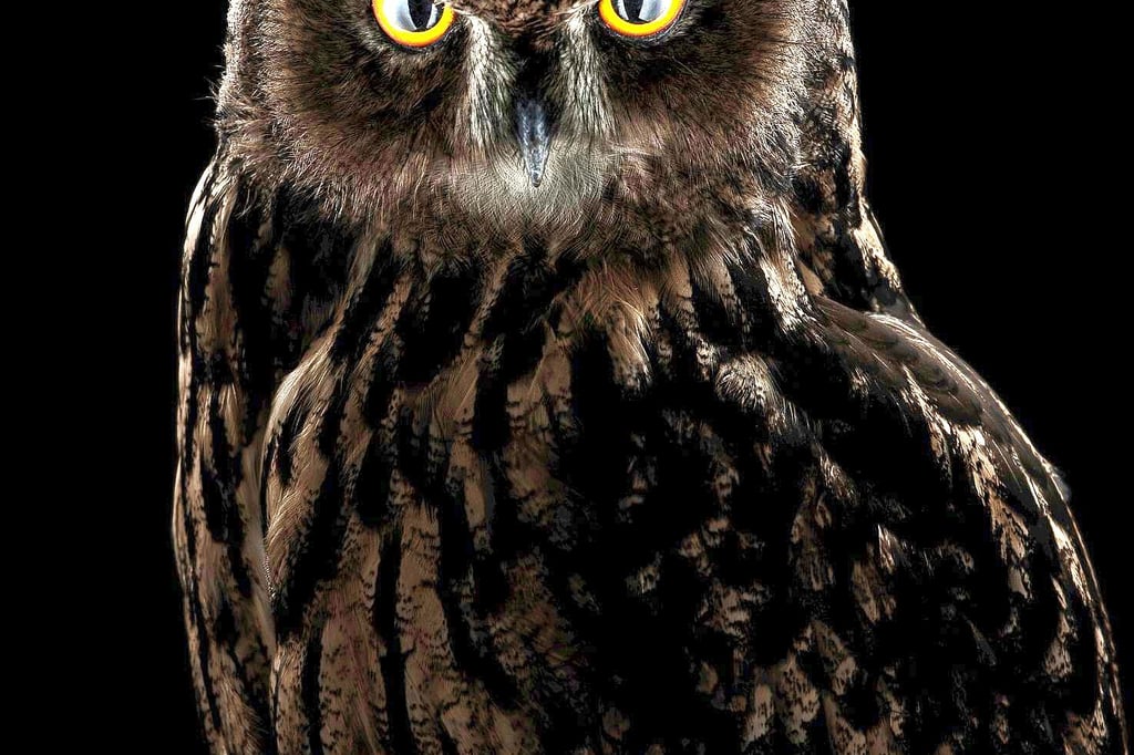 Blick-in-fantastische-Tierwelten