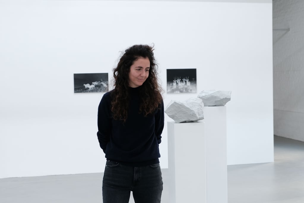 Jelena-Bulaji-in-der-Kunsthalle-M-nster-Habe-Farben-immer-gehasst-