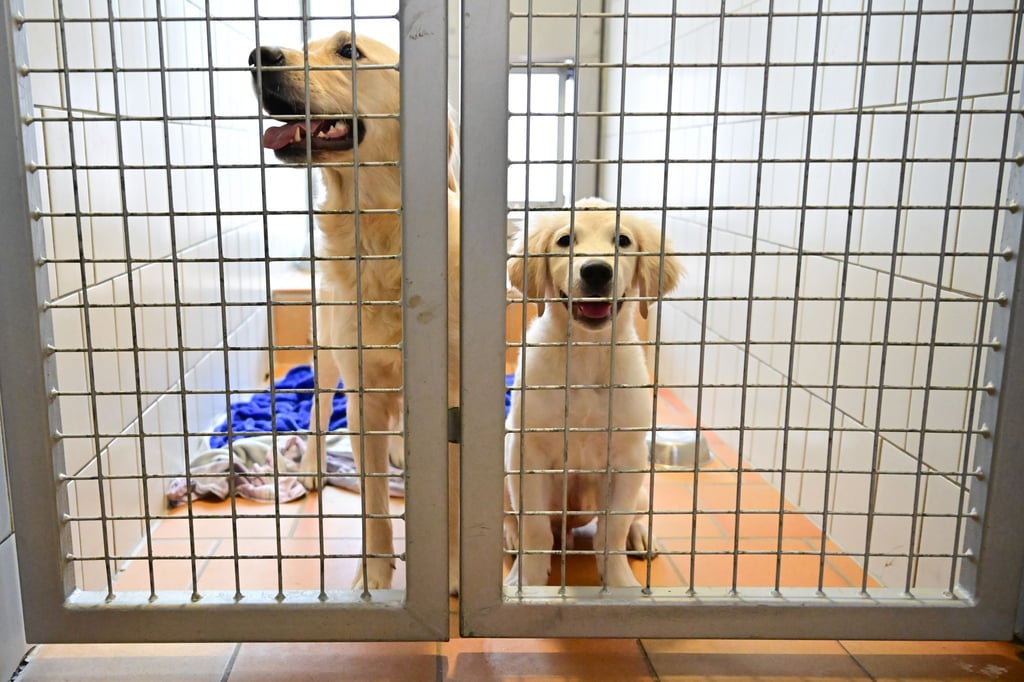 500-Milliarden-Euro-f-r-alles-au-er-Tiere