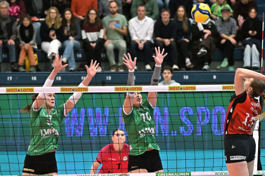 Trotz-Fehlstart-Der-USC-ringt-Dresden-in-einem-Krimi-nieder