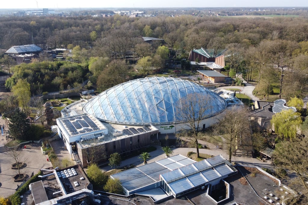 Wie sieht der Allwetterzoo im Jahr 2075 aus, Frau Schehka?