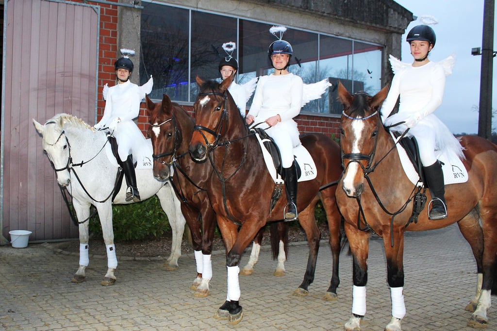 Reit-und-Fahrverein-Nienberge-plant-neue-Halle