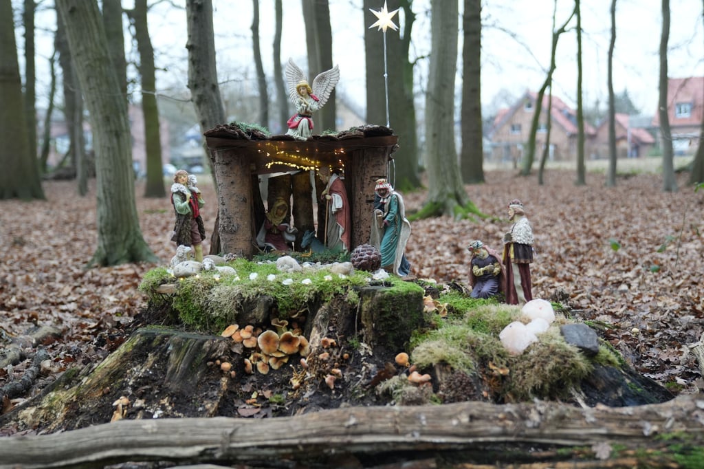 „Unglaublich süß“: Wichtel ziehen neben Wald-Krippe ein