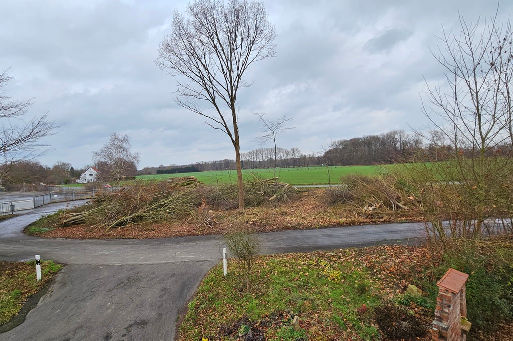 Alsweder verärgert über abgeholztes Wäldchen