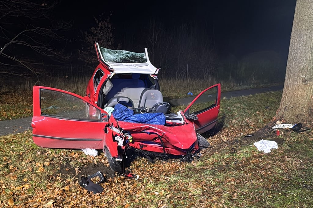 19-Jähriger in Lebensgefahr: Auto kracht in Bielefeld gegen Baum