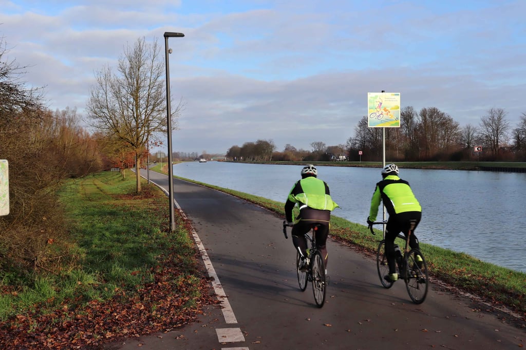 Fledermausschutz-oder-Verkehrssicherheit-