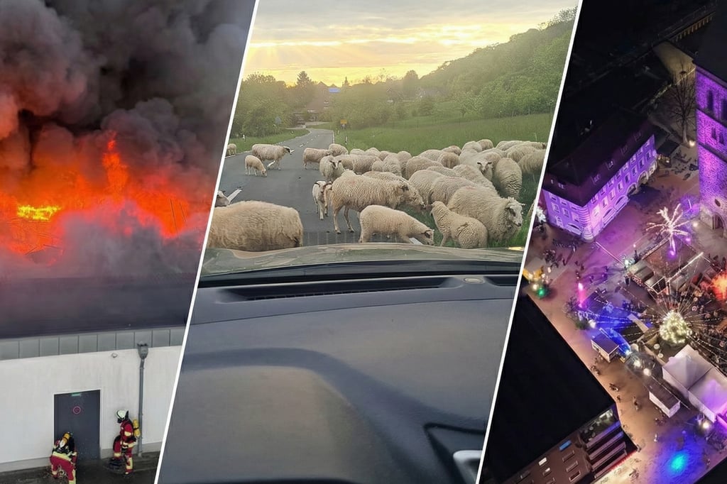 Abst-rze-Aufbr-che-Emotionen-Das-M-nsterland-blickt-zur-ck-auf-2025