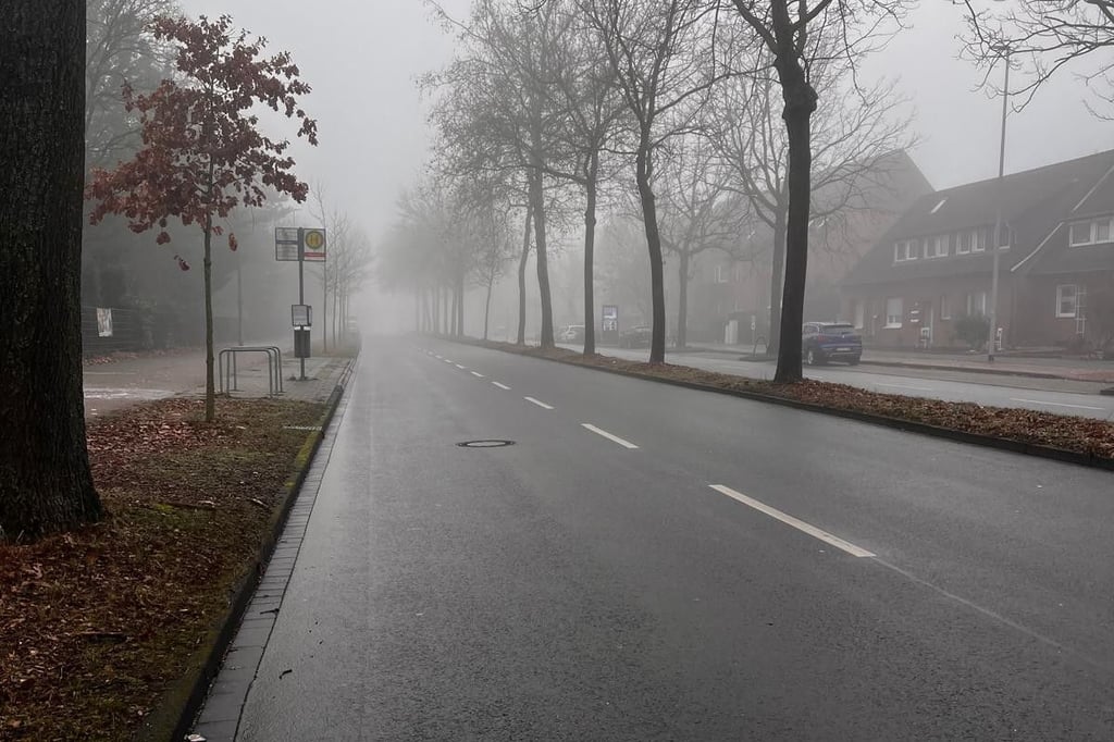 Nebel und kühle Temperaturen: So ist die Glätte-Situation in Münster