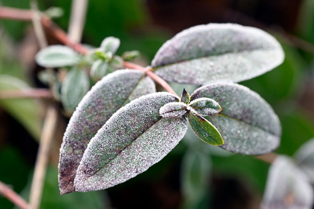 Glatteis-und-Frost-zum-Wochenstart-in-NRW