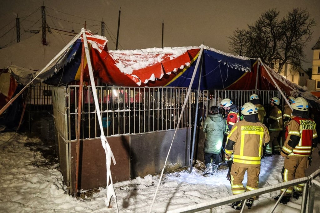 Zirkuszelt-bricht-unter-Schneelast-zusammen-Tiere-gerettet