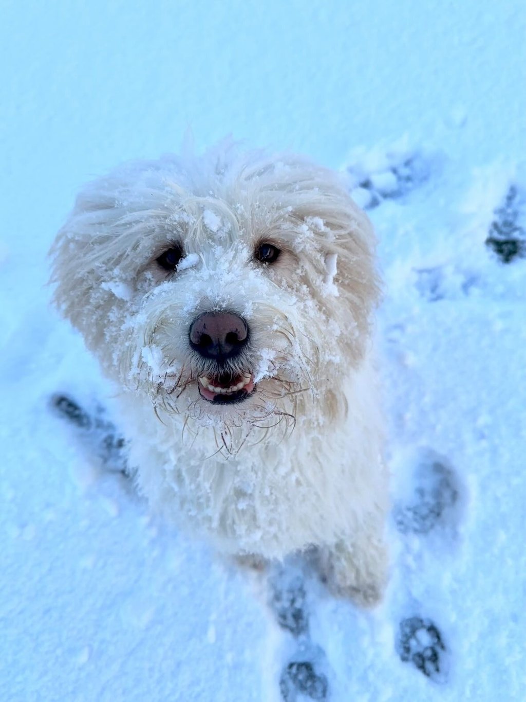 Foto-Aktion-Die-sch-nsten-Winterfotos-der-Leserschaft