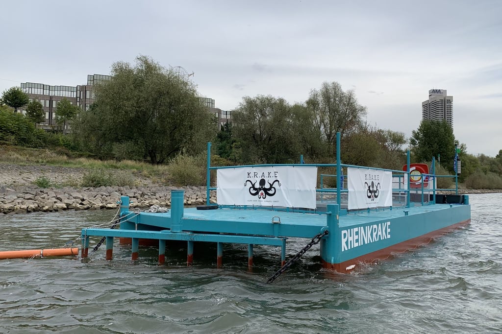 Untersuchung-Im-Rhein-treibt-viel-mehr-M-ll-als-gedacht