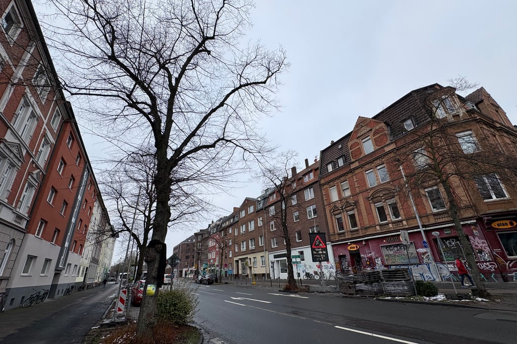 Geplante-Baumf-llung-bringt-das-Hansaviertel-auf-die-Palme