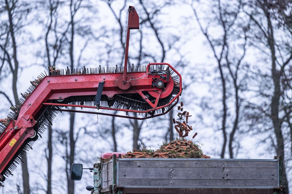 Erntejahr-2026-Landwirte-in-NRW-sind-optimistisch