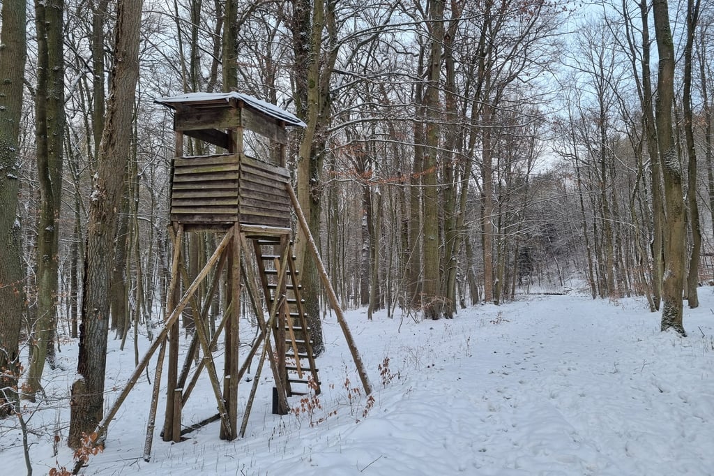 Erschossener-J-ger-Treffer-in-Schulter-t-tete-23-J-hrigen