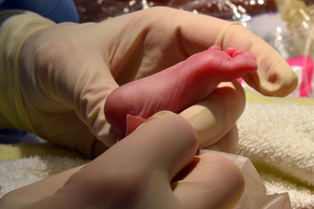 Nur-noch-134-Krei-s-le-in-NRW-So-ist-die-Lage-im-M-nsterland