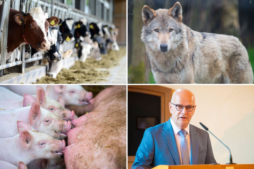 Landwirte starten mit großer Hoffnung ins neue Jahr