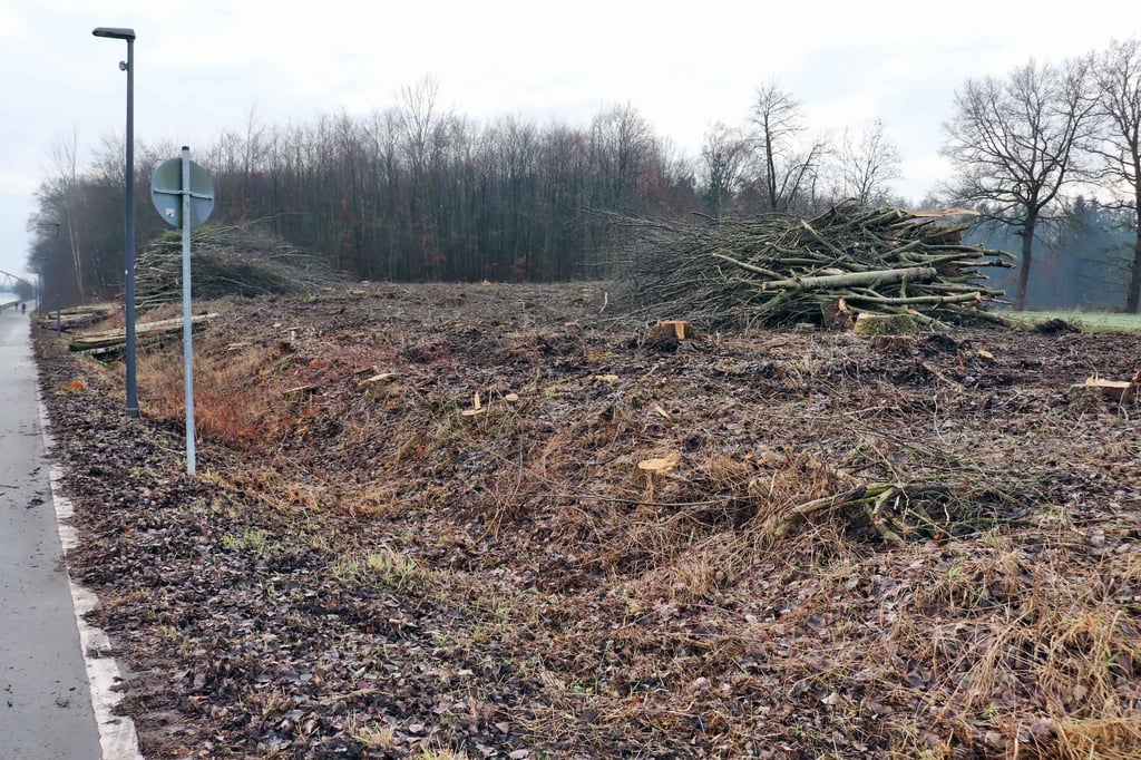 Kahlschlag-am-Kanal-Kein-Grund-zur-Aufregung