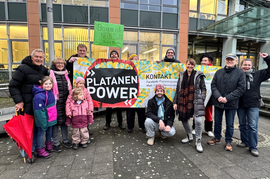 Platanenpower kämpft nun für eine Linde