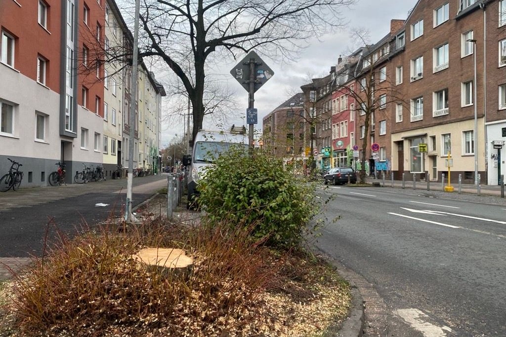 Der-Protest-ist-da-doch-die-Linde-ist-schon-weg