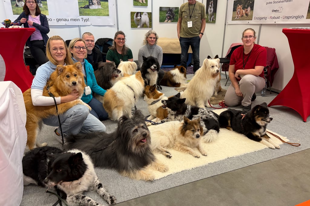 Auch-KI-gest-tzte-Helfer-f-r-den-Vierbeiner