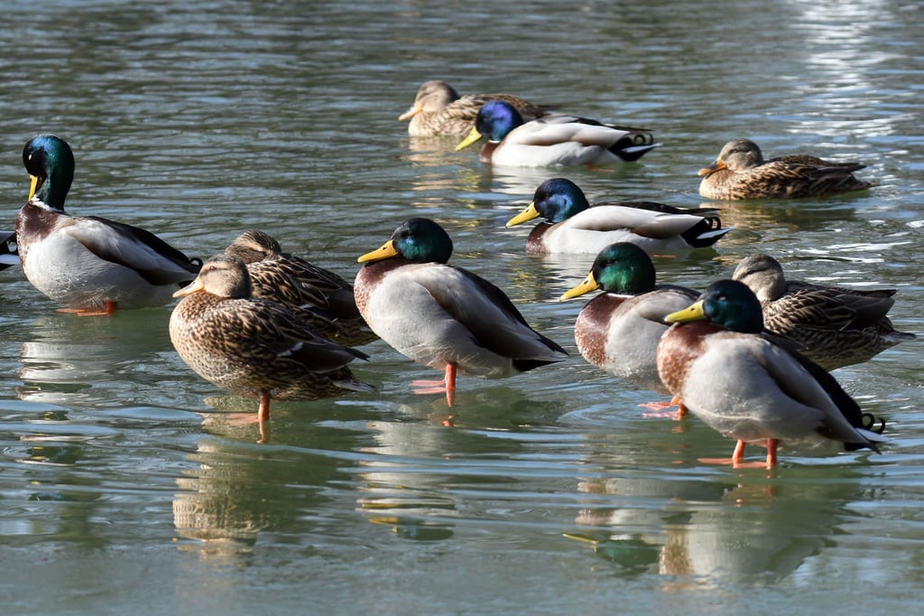 Sonniger-Wochenstart-in-NRW-nachts-wird-es-frostig