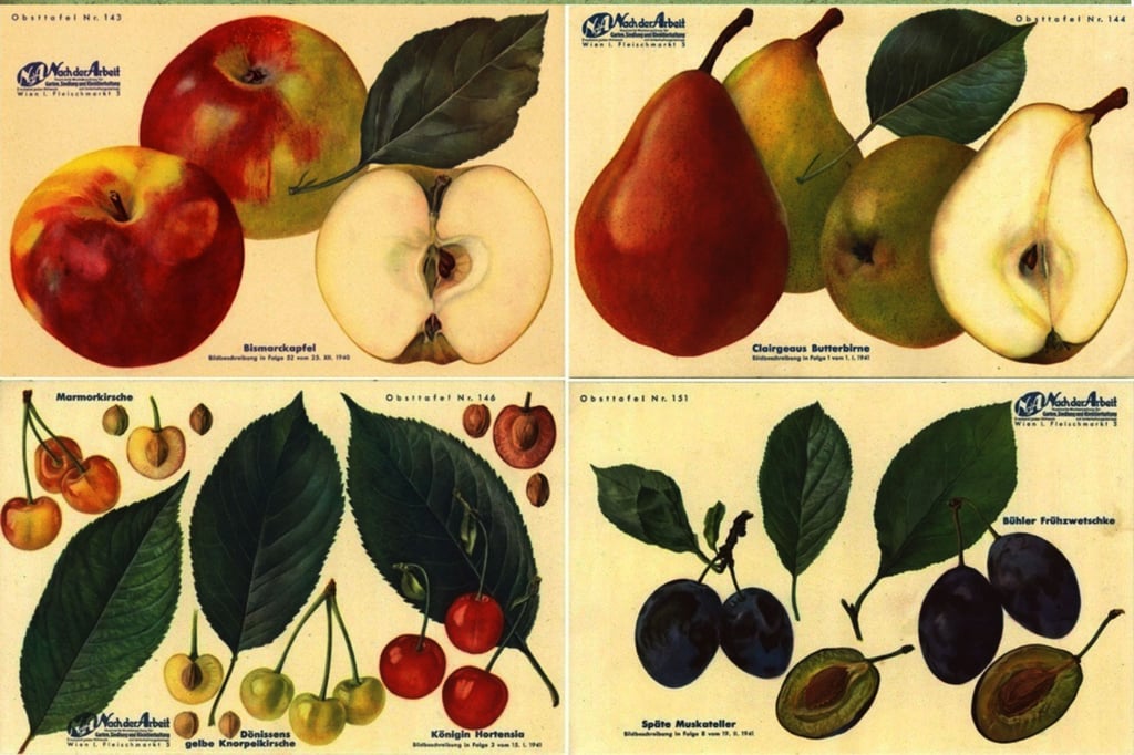 Lemgo: Pensionierter Lehrer  ist alten Apfelsorten auf der Spur