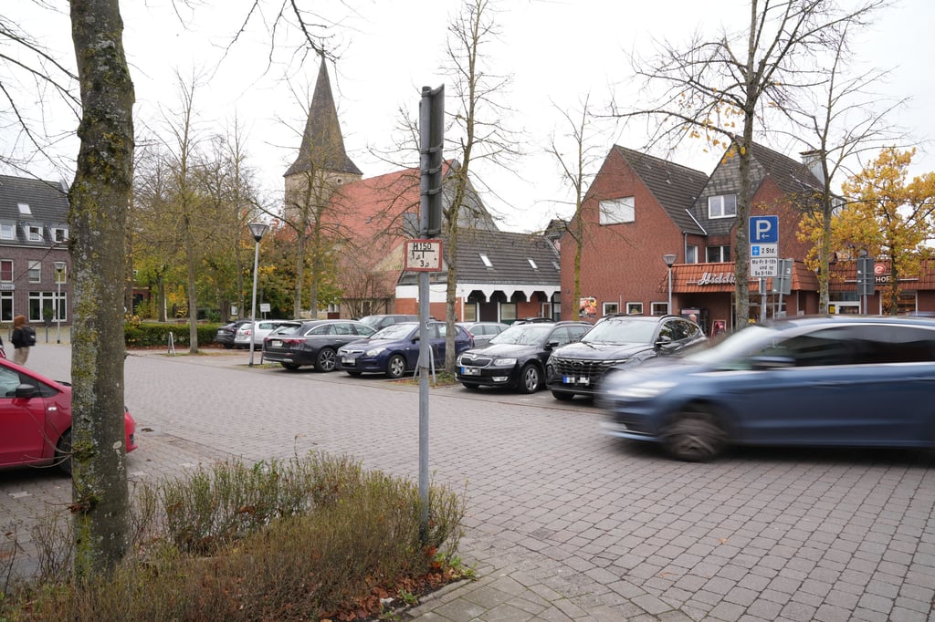 Müssen die Linden an der Sebastianstraße gefällt werden?